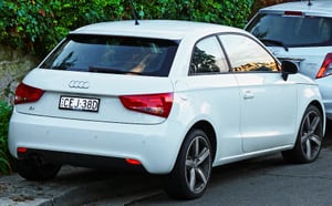 A1 (8X)