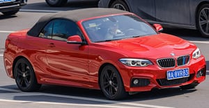 2 Series Convertible (F23)