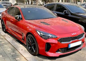 Stinger